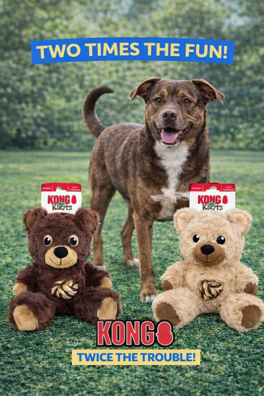 KONG(R) Knots Teddy Dog Rope Toy Assorted