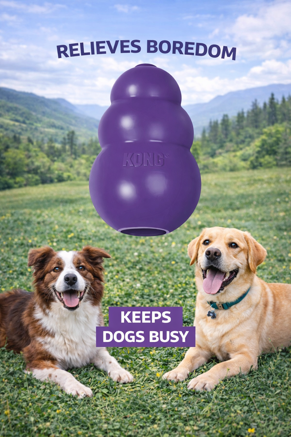 KONG(R) Senior Dog Chew Toy