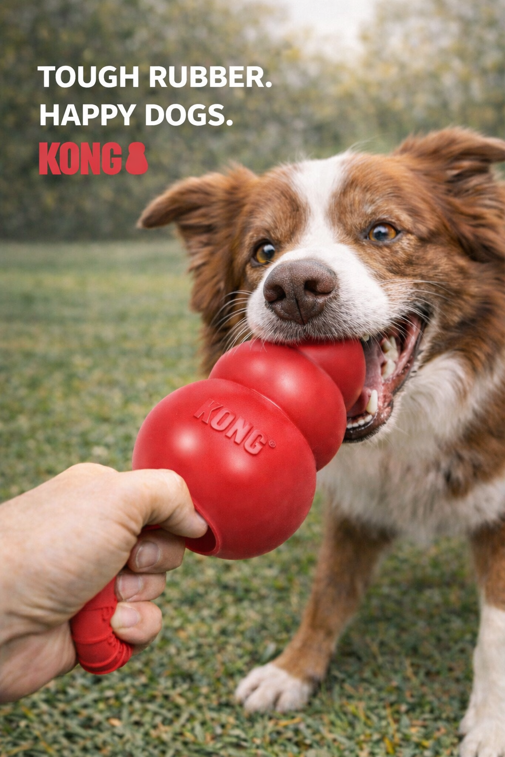 KONG(R) Classic Dog Chew Toy