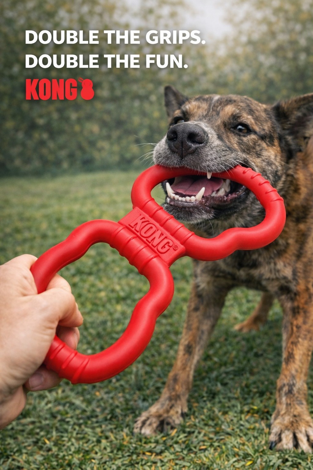 KONG(R) Tug Dog Toy Medium