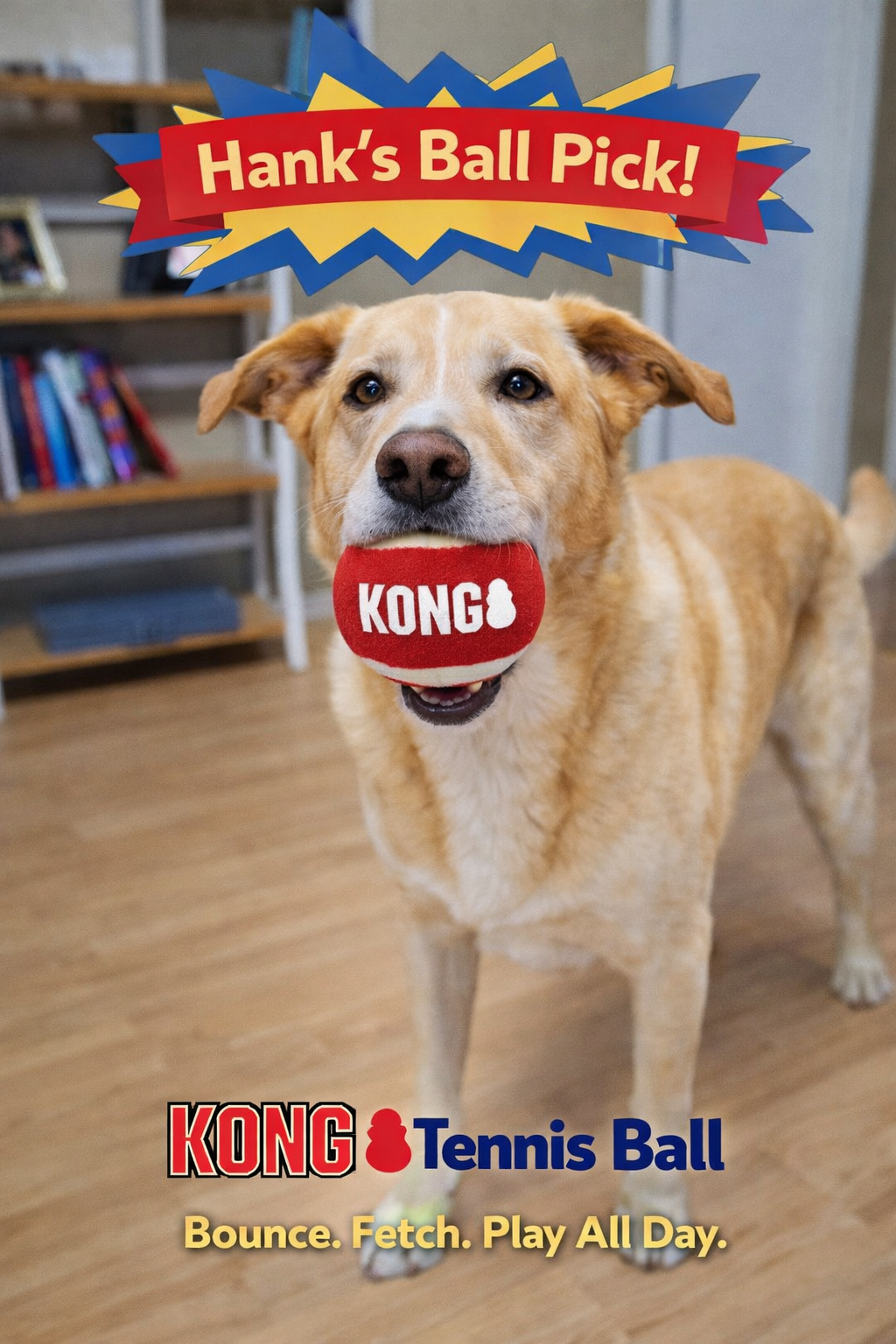 KONG(R) Signature Balls Dog Fetch Toy Assorted