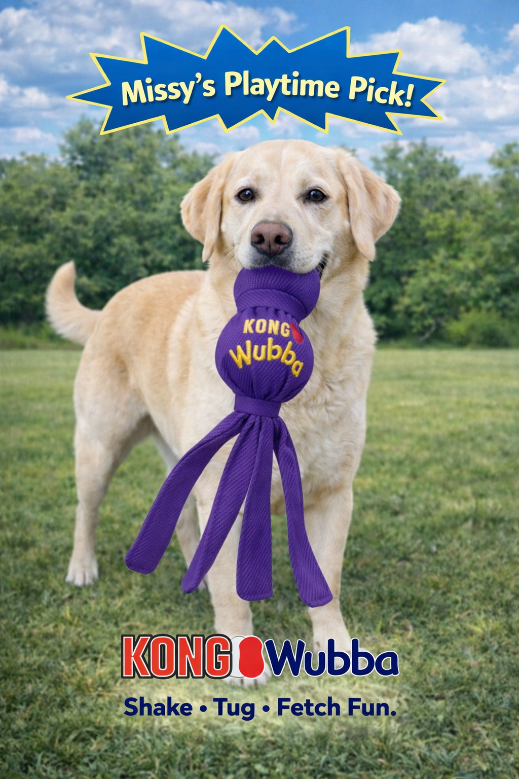 KONG(R) Wubba(TM) Dog Tug Toy Assorted