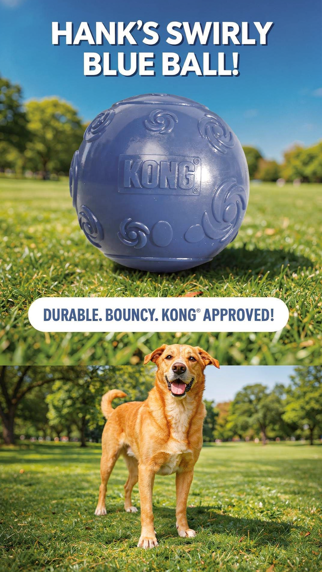 KONG(R) Squeezz Ball Dog Chew Toy Assorted