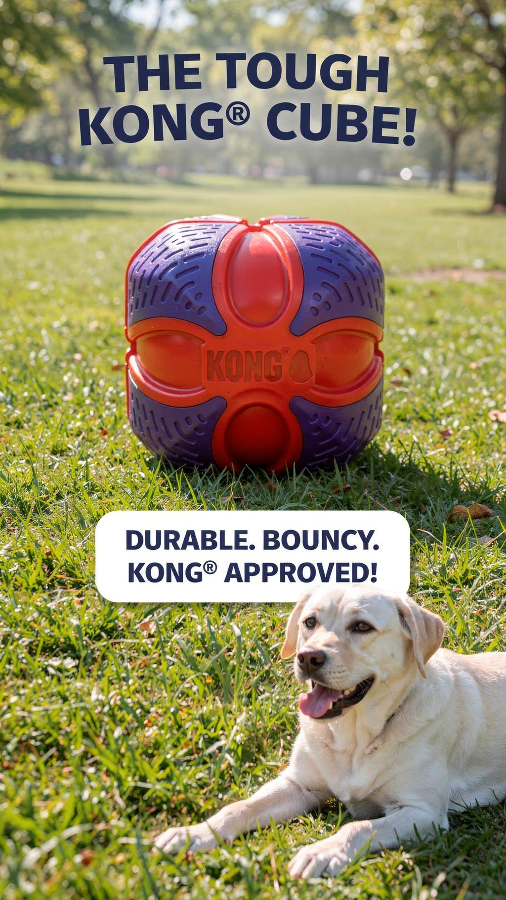KONG(R) Duets Duos Ball Dog Fetch Toy Medium