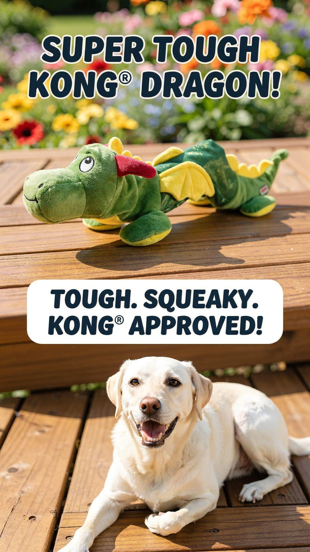 KONG(R) Signature Balls Dog Fetch Toy Assorted