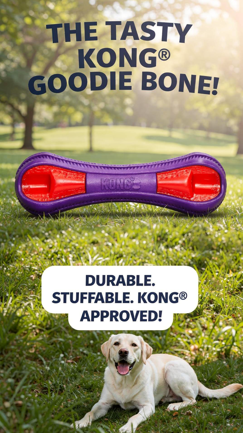 KONG(R) Duets Duos Bone Dog Fetch Toy