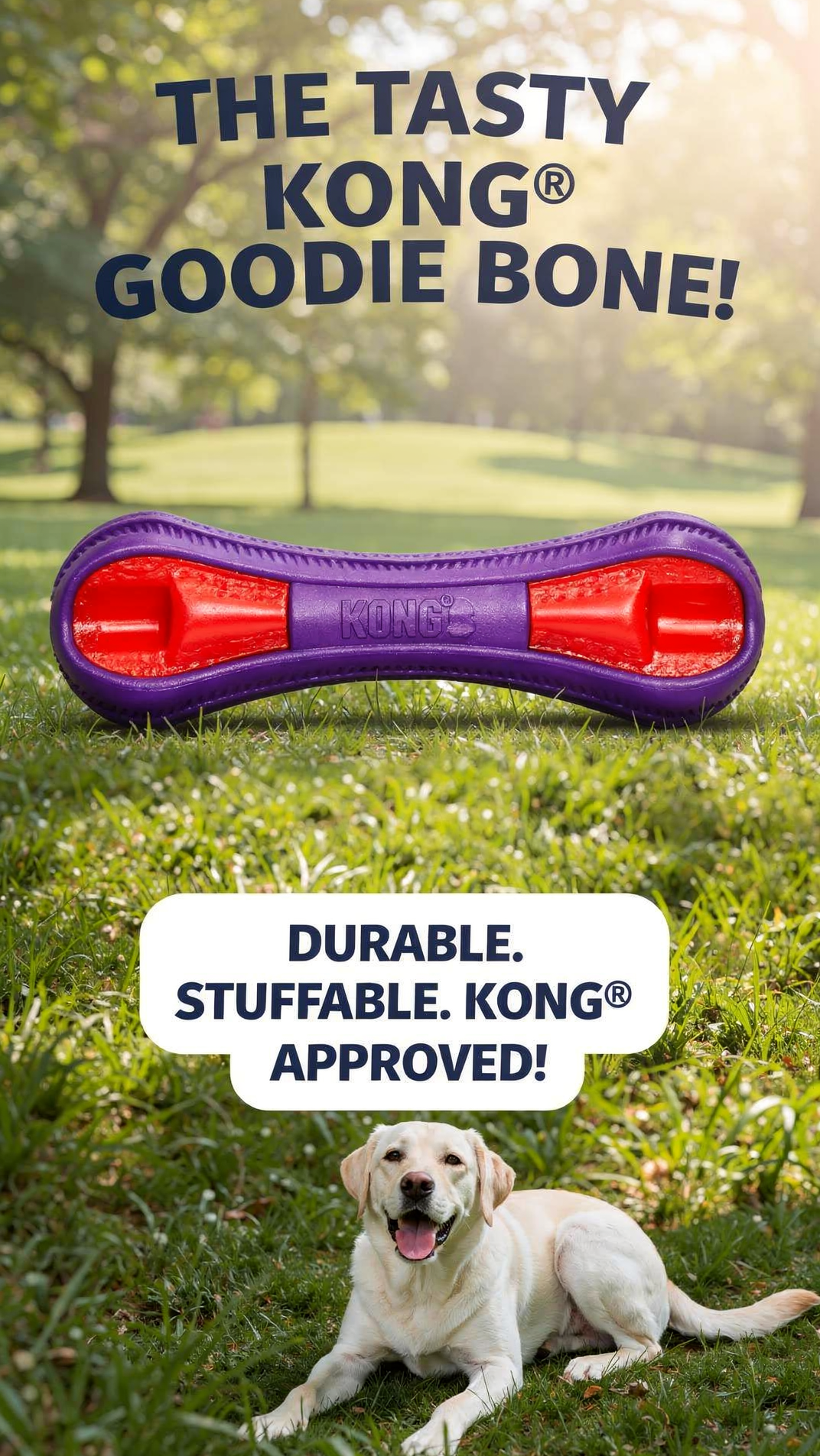 KONG(R) Duets Duos Bone Dog Fetch Toy