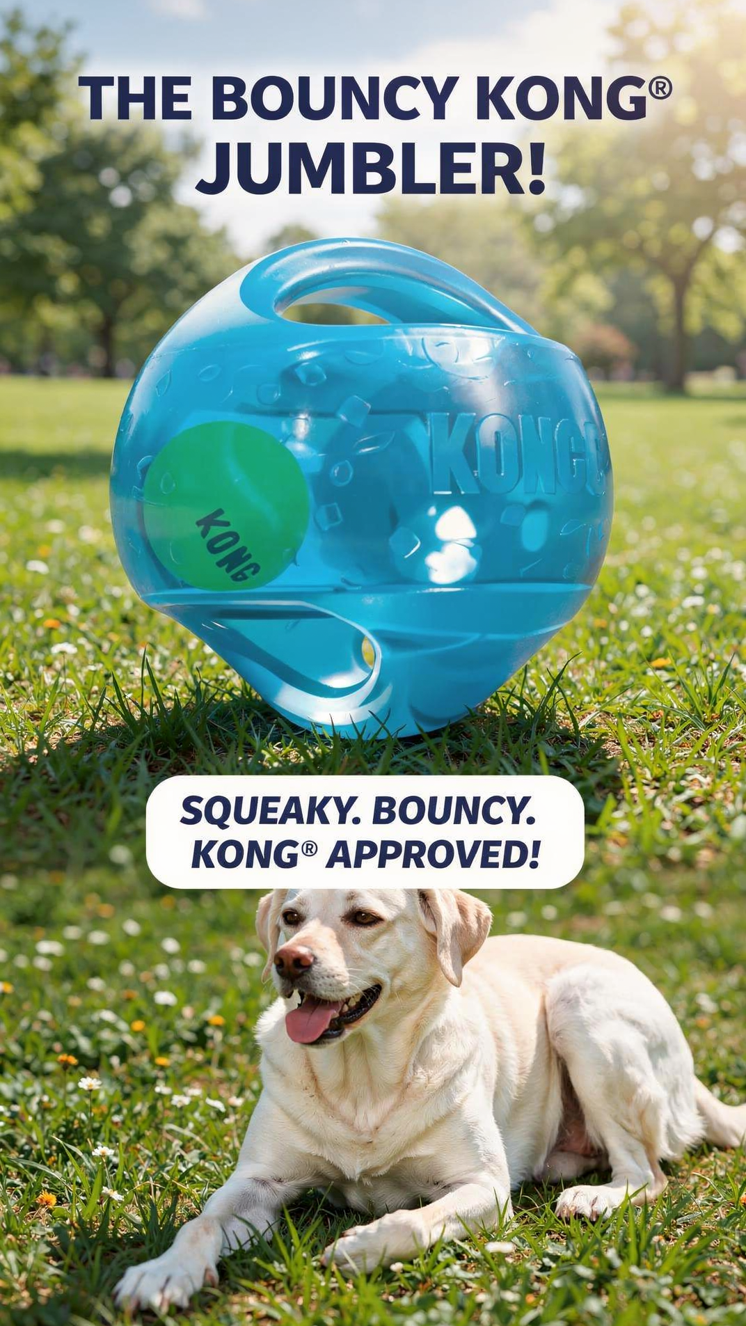 KONG(R) Jumbler(TM) Ball Dog Enrichment Toy Assorted