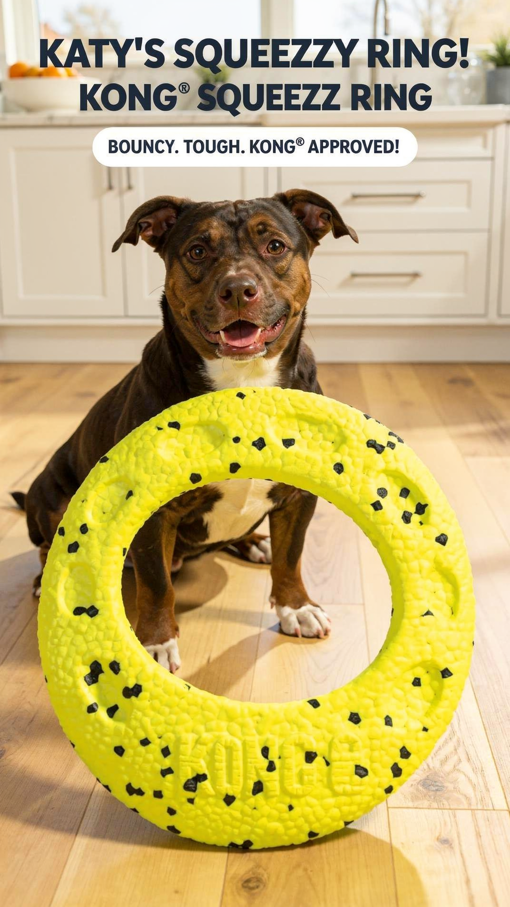 KONG(R) Reflex Flyer Dog Fetch Toy