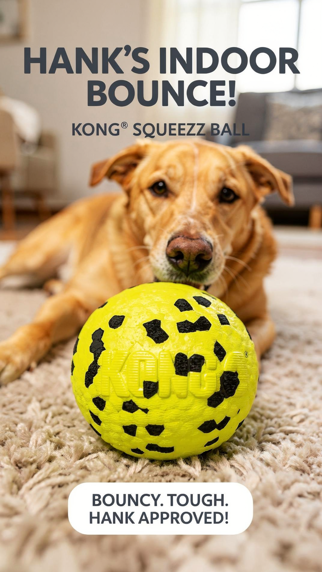 KONG(R) Reflex Ball Dog Fetch Toy