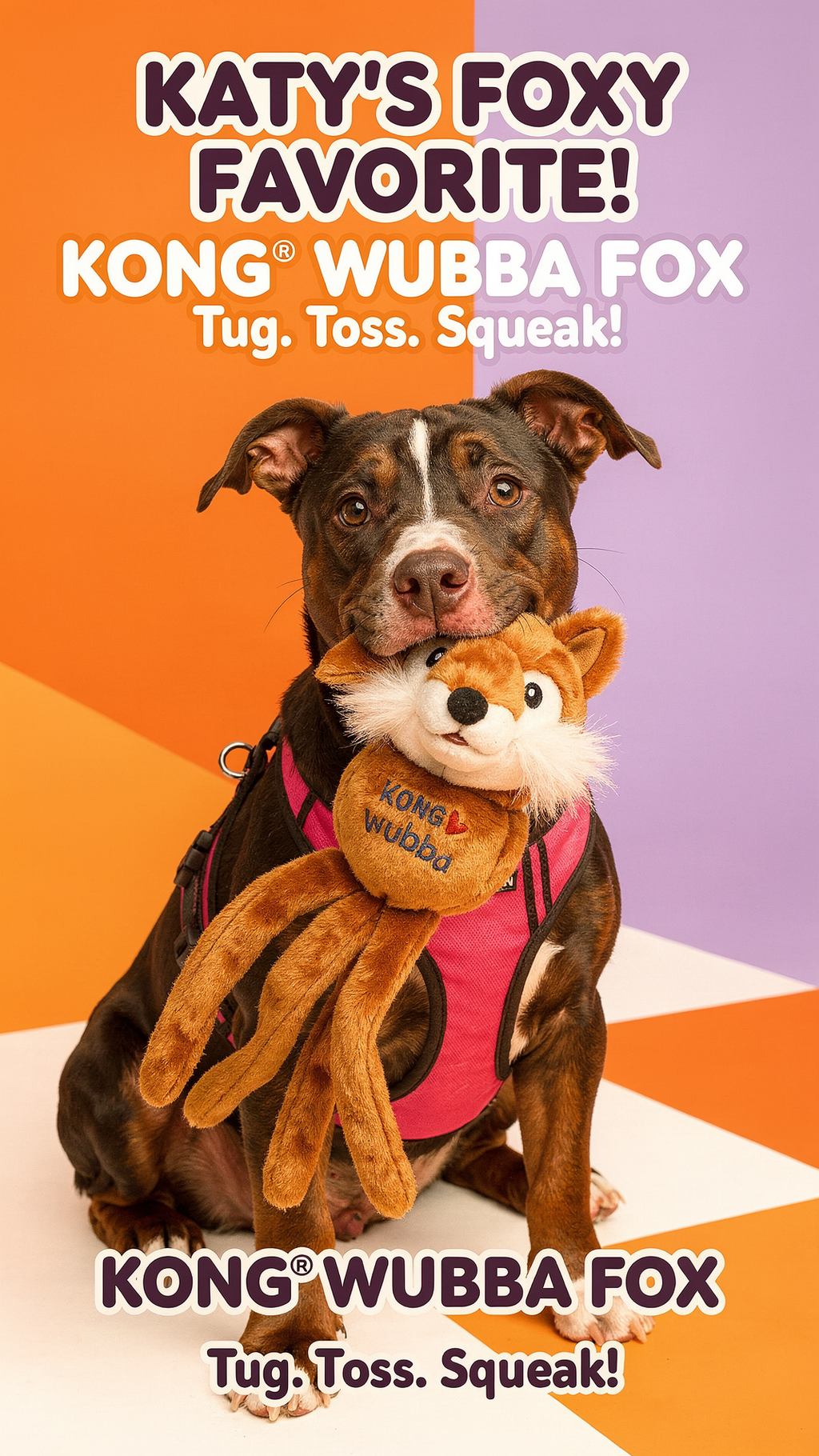 KONG(R) Wubba Friends Dog Tug Toy Assorted